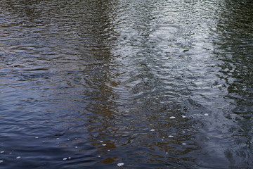 Rapidly flowing river with reflections