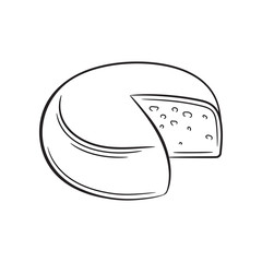 Cheese sketch. Hand drawn farm illustration.
