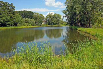 A small pond surrounded by greenery on a clear sunny day.