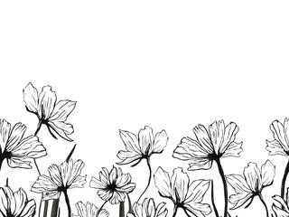 Seamless border with wild flowers. Black outline. Hand-drawn illustration. Design for cards, Wallpaper, fabric.