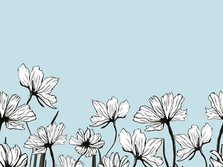 Seamless border with wild flowers. Black outline. Hand-drawn illustration. Design for cards, Wallpaper, fabric.