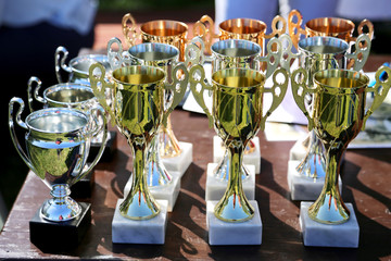 Close up of golden trophies for equestrian winners on table outdoors