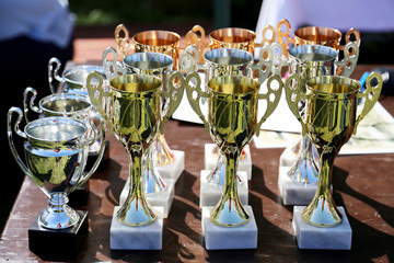 Close up of golden trophies for equestrian winners on table outdoors