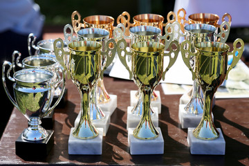 Close up of golden trophies for equestrian winners on table outdoors