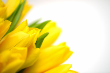 A bouquet of beautiful yellow spring tulips. Postcard. Close-up.