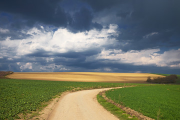 Green field, freshly plowed land with winding dirty road and ovescast blue sky with storm clouds.