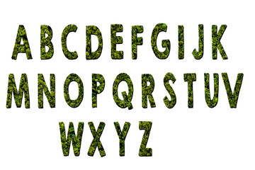 Latin alphabet letters made from grass on white