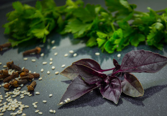 basil parsley and spices