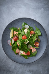 Smoked Salmon Salad. Healthy eating Tasty salad with red fish, radish and cherry tomatoes.
