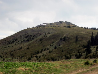 Beautiful mountain top in spring