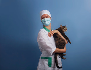 Veterinarian doctor in safety mask with cat in veterinary clinic.