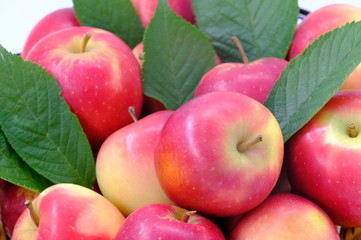 New Zealand apple on background