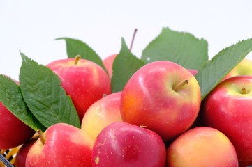 New Zealand apple on background