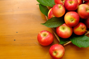 New Zealand apple on background