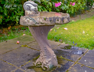 Decorative and ornate bird bath in a country garden