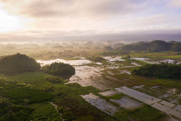 Tropical landscape with farmland and green hills, aerial view. Morning fog.