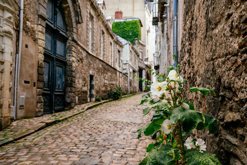 Fototapeta na wymiar Empty street in city of Angers, France in the Loire Valley