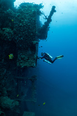 Wreck Diving Vanuatu President Coolidge