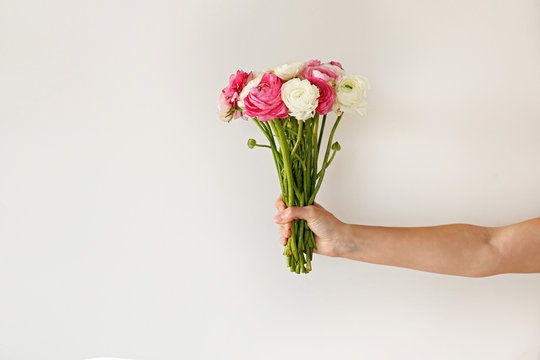Conceptual image of a woman holding bunch of spring flowers. Female with colorful white and pink ranunculus bouquet over white background. Close up, copy space, cropped shot.