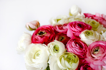 Macro shot of beautiful bouquet of pink & white ranunculus flowers with visible petal texture . Close up composition with bright patterns of flower buds with a lot of copy space for text. Top view.