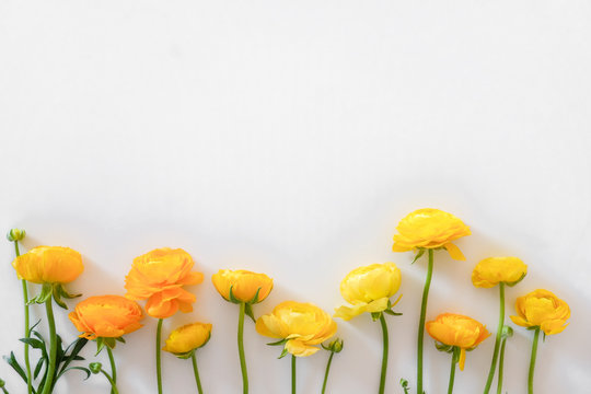 Beautiful bouquet of yellow ranunculus flowers with visible petal texture structure. Close up composition with bright patterns of flower buds with a lot of copy space for text. Top view.