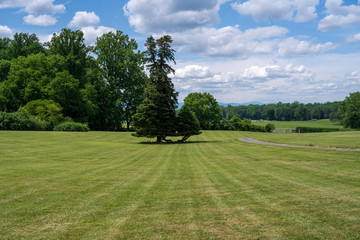 Fototapeta na wymiar Green Fields of Montpelier Virginia