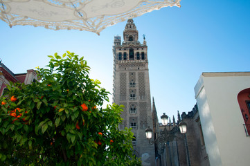 Fototapeta na wymiar Tower of Giralda, orange tree and white lace umbrella. Blue sky, Seville, Spain