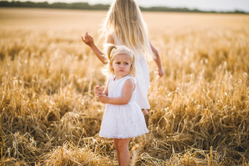 Naklejka na ściany i meble Two beautiful little girls on a wheat field background. Little princess