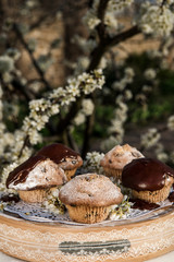 Tasty chocolate cupcakes. Homemade chocolate muffin cupcake with cream buttercream icing. Easter sweet dessert cake. Close up view. Cupcakes in blooming trees. Outdoor shooting in garden.