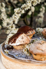 Tasty chocolate cupcakes. Homemade chocolate muffin cupcake with cream buttercream icing. Easter sweet dessert cake. Close up view. Cupcakes in blooming trees. Outdoor shooting in garden.