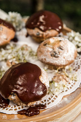 Tasty chocolate cupcakes. Homemade chocolate muffin cupcake with cream buttercream icing. Easter sweet dessert cake. Close up view. Cupcakes in blooming trees. Outdoor shooting in garden.