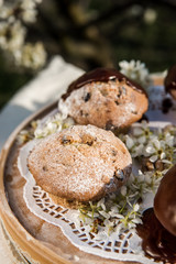 Tasty chocolate cupcakes. Homemade chocolate muffin cupcake with cream buttercream icing. Easter sweet dessert cake. Close up view. Cupcakes in blooming trees. Outdoor shooting in garden.