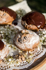 Tasty chocolate cupcakes. Homemade chocolate muffin cupcake with cream buttercream icing. Easter sweet dessert cake. Close up view. Cupcakes in blooming trees. Outdoor shooting in garden.