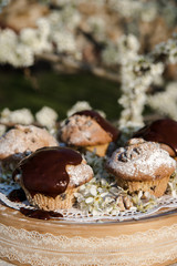 Tasty chocolate cupcakes. Homemade chocolate muffin cupcake with cream buttercream icing. Easter sweet dessert cake. Close up view. Cupcakes in blooming trees. Outdoor shooting in garden.