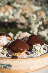 Tasty chocolate cupcakes. Homemade chocolate muffin cupcake with cream buttercream icing. Easter sweet dessert cake. Close up view. Cupcakes in blooming trees. Outdoor shooting in garden.