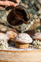 Tasty chocolate cupcakes. Homemade chocolate muffin cupcake with cream buttercream icing. Easter sweet dessert cake. Close up view. Cupcakes in blooming trees. Outdoor shooting in garden.