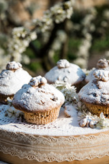 Tasty vanilla cupcakes with raisins. Homemade muffin cupcake with sugar powder. Easter sweet...