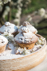 Tasty vanilla cupcakes with raisins. Homemade muffin cupcake with sugar powder. Easter sweet...