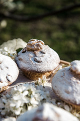 Tasty vanilla cupcakes with raisins. Homemade muffin cupcake with sugar powder. Easter sweet dessert cake. Close up view. Cupcakes in blooming trees. Outdoor shooting in garden.