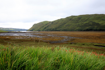 Fototapeta na wymiar Skye Island (Scotland), UK - August 14, 2018: Typical landscape of Scotland, Isle of Skye, Inner Hebrides, Scotland, United Kingdom