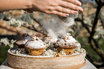 Tasty vanilla cupcakes with raisins. Homemade muffin cupcake with sugar powder. Easter sweet dessert cake. Close up view. Cupcakes in blooming trees. Outdoor shooting in garden.