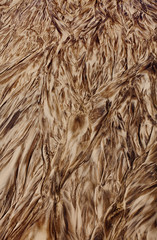 Detail of textural patterns in sand as the water runs across the beach
