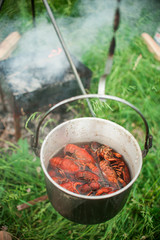 Boiled crayfish cooking in a cauldron at the stake