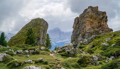 Distinctive Pieralongia rocks with Sassolungo in background / Gardena Valley / South Tyrol / Dolomites / Italy