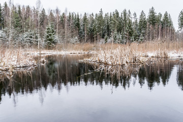 The nature around the lake after the first snowfall