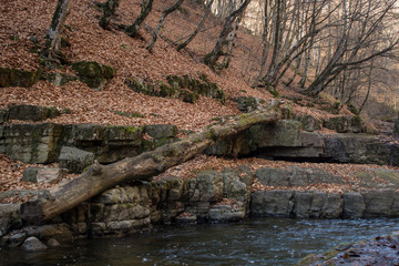 mountain river flows