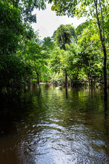 igarapé 