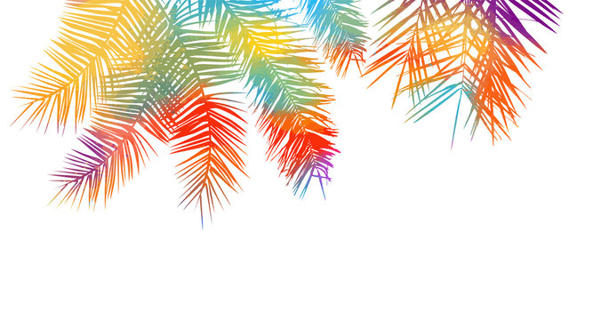 The background is multicolored palm leaves. Hello summer. Vector