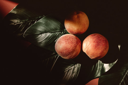 Peaches on Green Plant Leaves