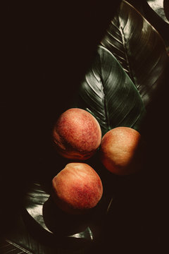 Overhead view of peaches on leaf